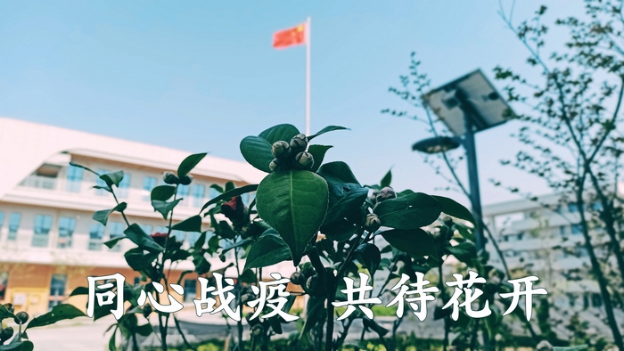 圖 (9).jpg